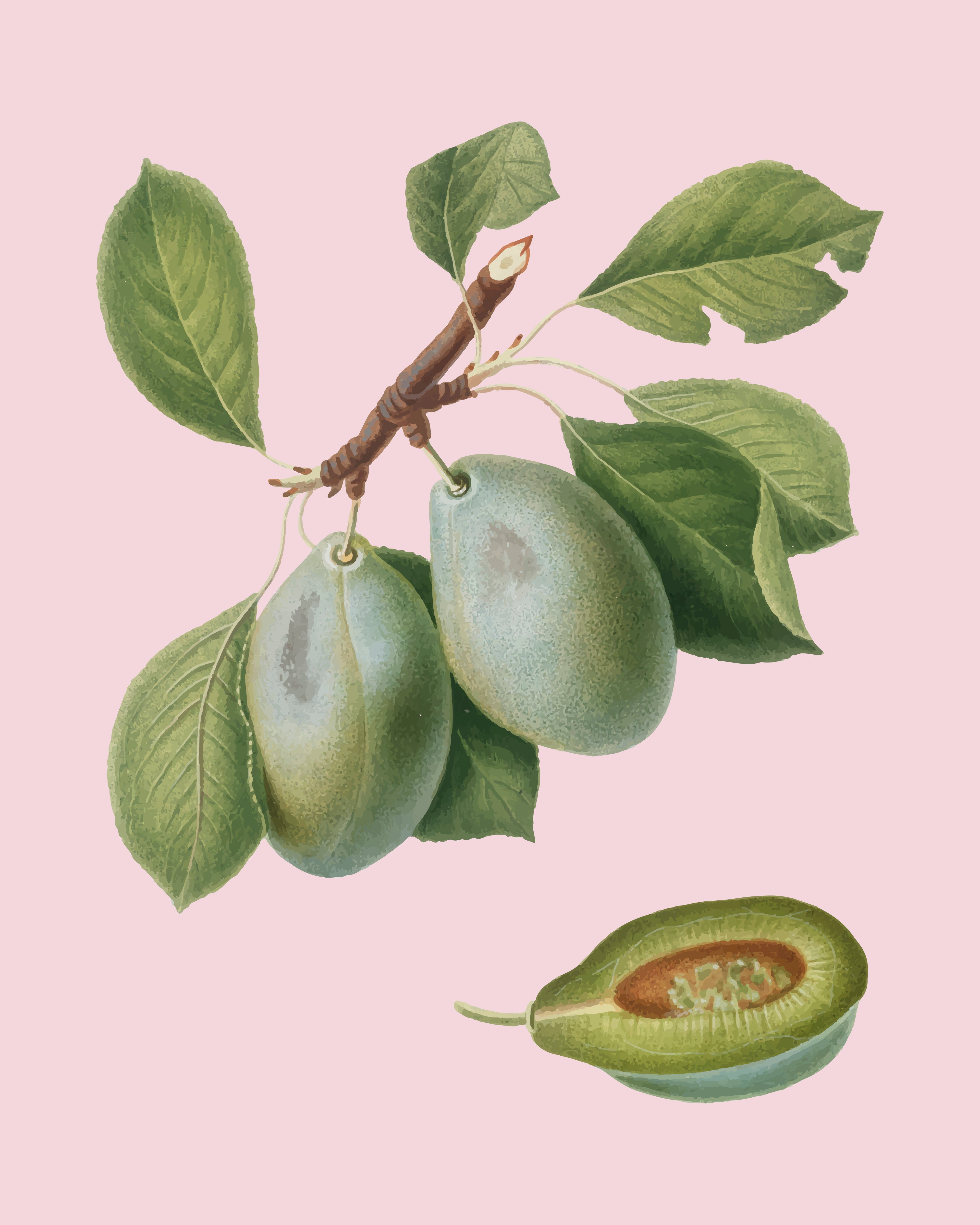 Élixir de beauté | Sérum huileux LUMINA-C