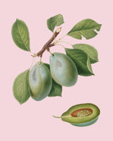 Beauty Elixir | LUMINA-C Oil Serum