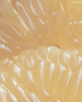 Intensive Youth Treatment