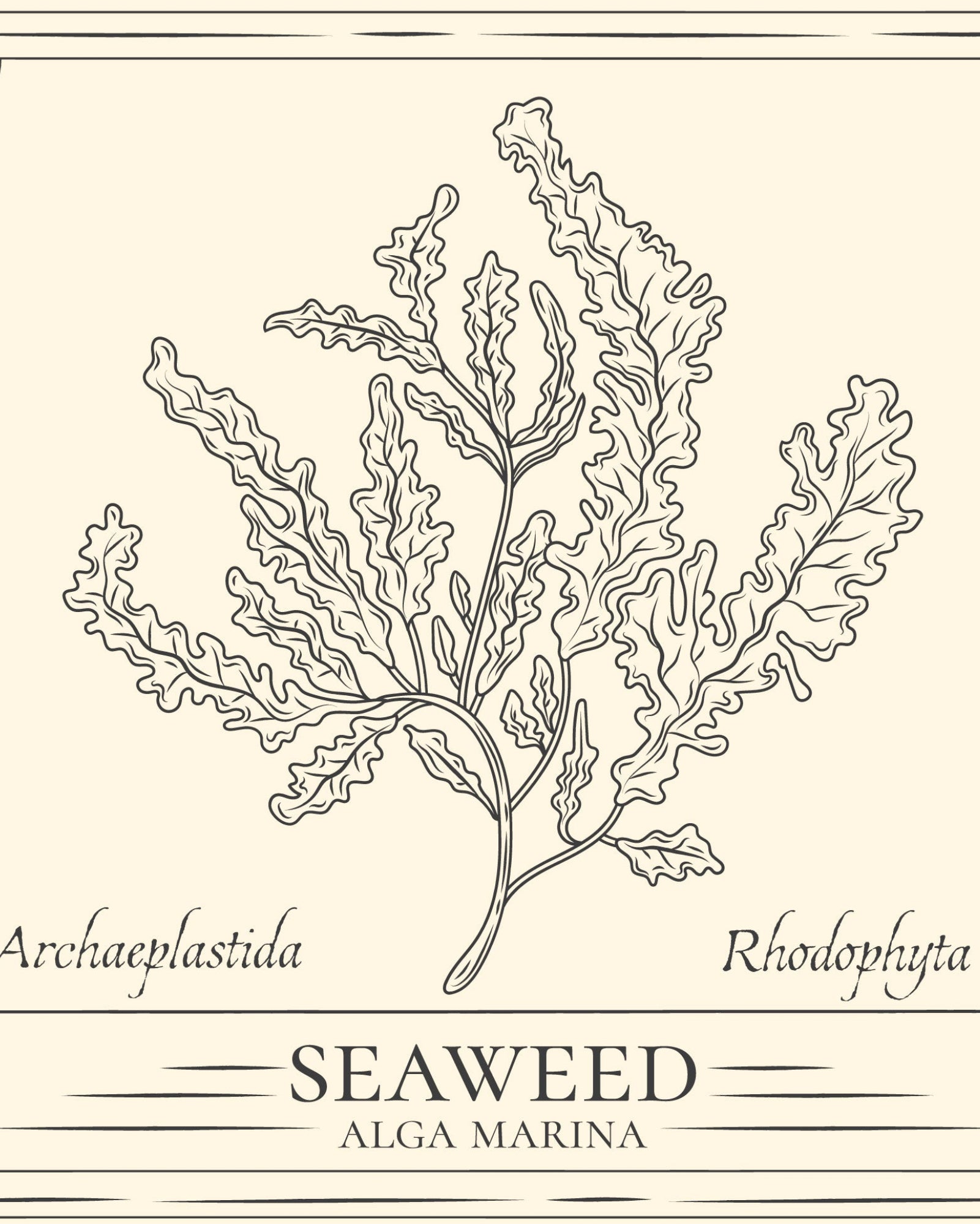 Sérum anti-imperfections à la Niacinamide & CoQ10