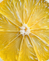 CBD Anti-Stress Rich Cream