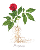 Intensive Youth Treatment