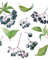 Intensely Hydrating Day Cream with Ceramides & Centella Asiatica