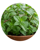 Creamy deep-cleansing exfoliator