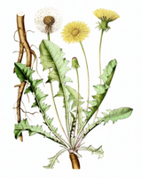 Hydra-Boost Gel Mask