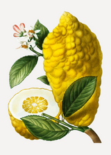 Radiance Peeling Mask