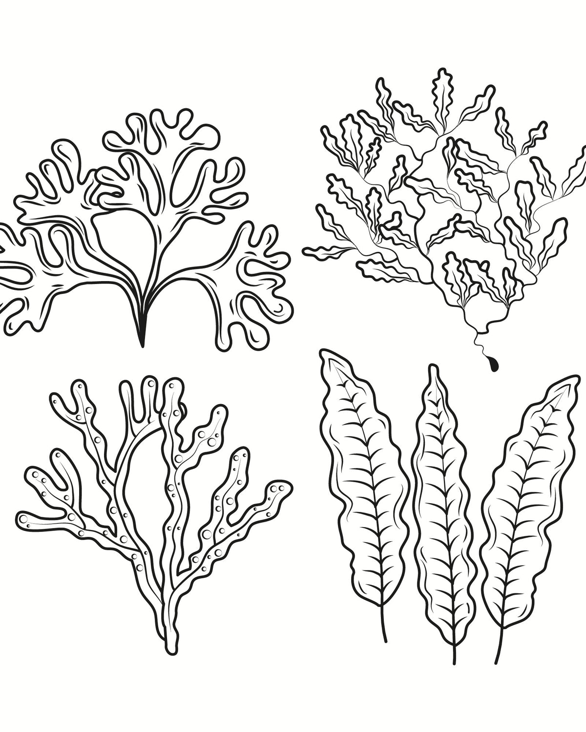 Sérum Éclat Tri-peptides