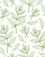 Anti-aging eye contour cream