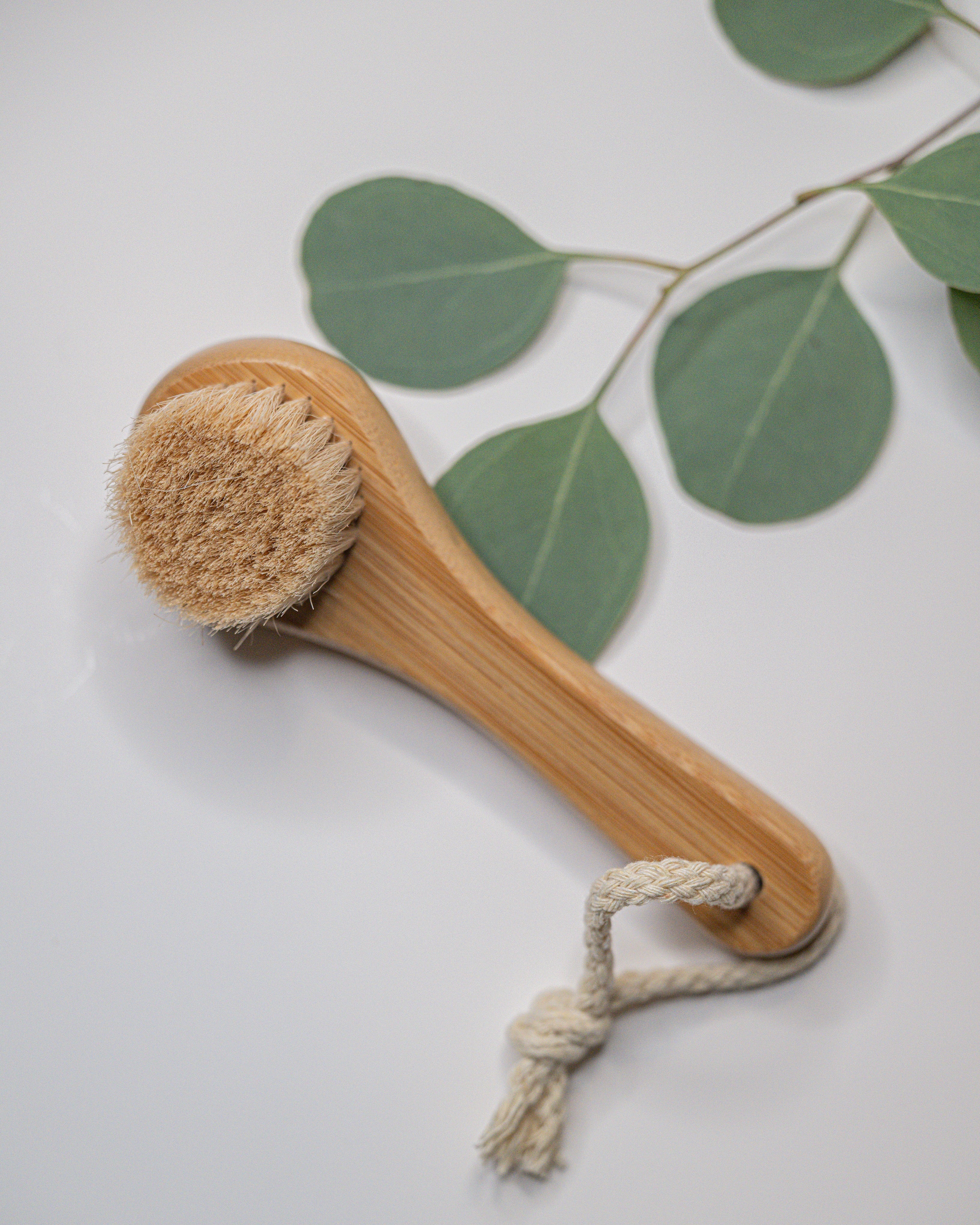 Mini brosse exfoliante pour le visage