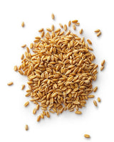 Intensely Hydrating Day Cream with Ceramides & Centella Asiatica