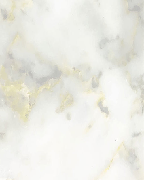 Gua Sha - Jade Blanc